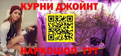 молекула духа Красноармейск