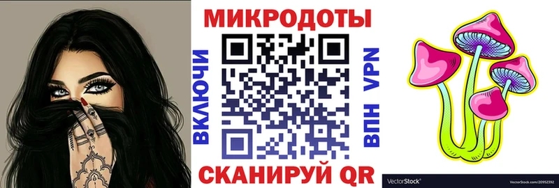Псилоцибиновые грибы Psilocybe Курск